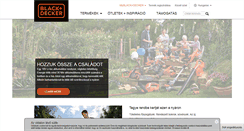 Desktop Screenshot of blackanddecker.hu
